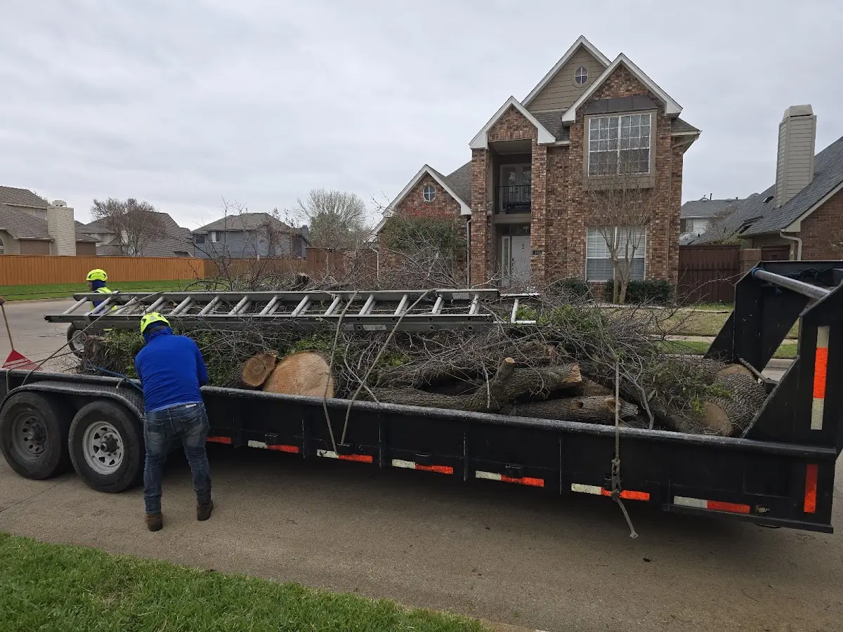 Expert Tree Pest Control with proper safety equipment in Worthington